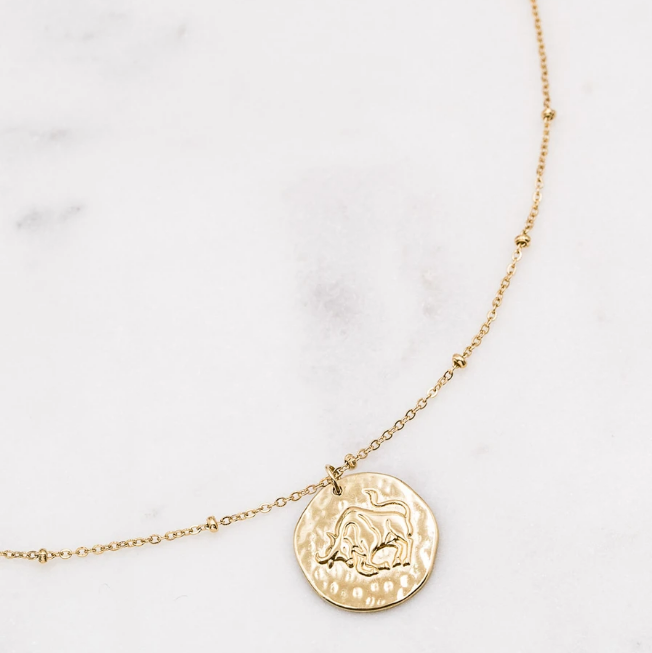 Kirurginteräskaulakoru, Astro Collection-horoskooppikoru