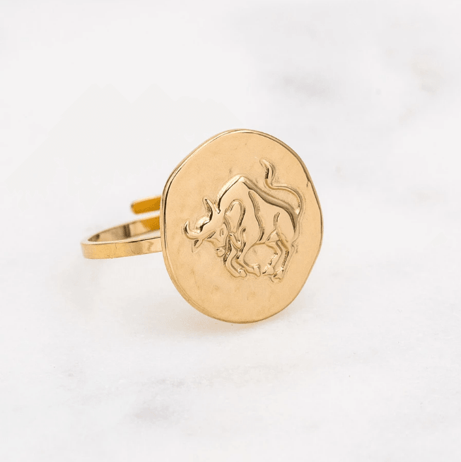 Kirurginterässormus, Astro Collection-horoskooppikoru