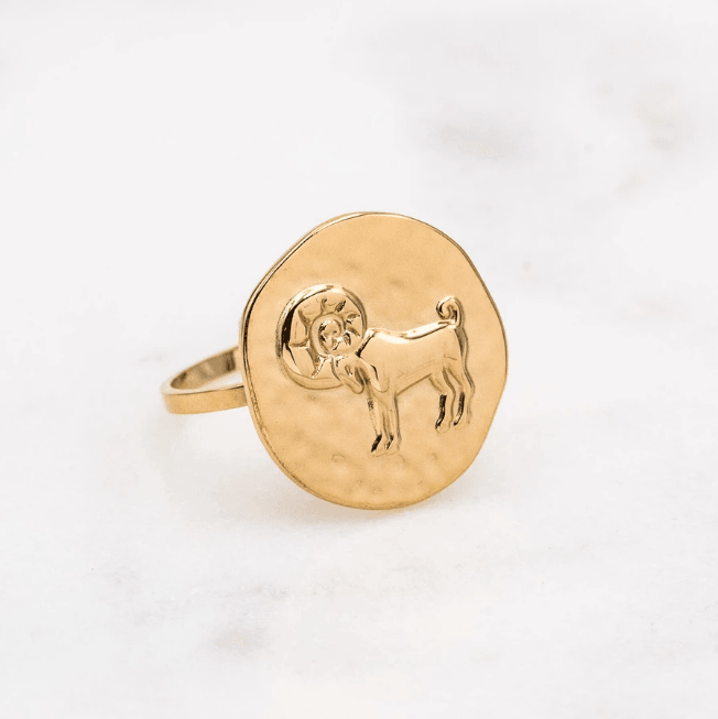 Kirurginterässormus, Astro Collection-horoskooppikoru