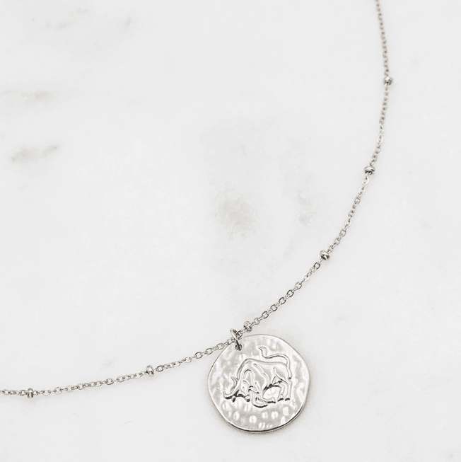 Surgical steel necklace, Astro Collection horoscope jewelry (silver)