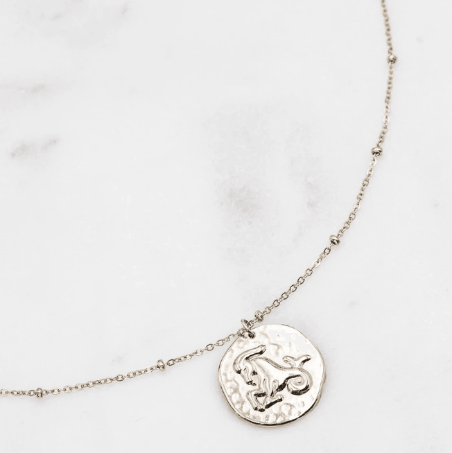 Surgical steel necklace, Astro Collection horoscope jewelry (silver)