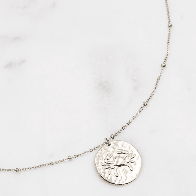 Surgical steel necklace, Astro Collection horoscope jewelry (silver)