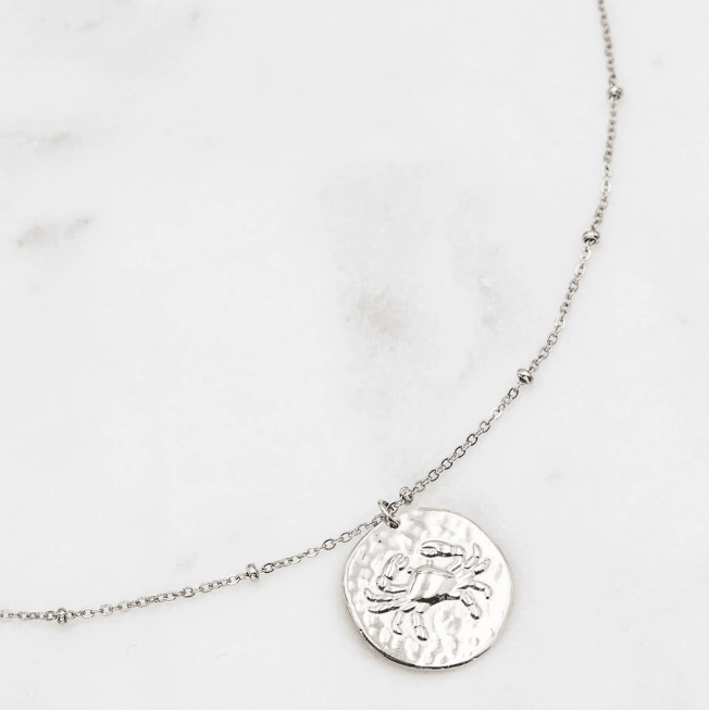 Surgical steel necklace, Astro Collection horoscope jewelry (silver)