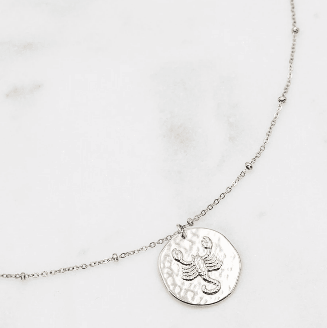 Surgical steel necklace, Astro Collection horoscope jewelry (silver)