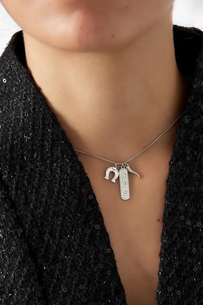 FRENCH RIVIERA | Lucky Charm surgical steel necklace (silver)