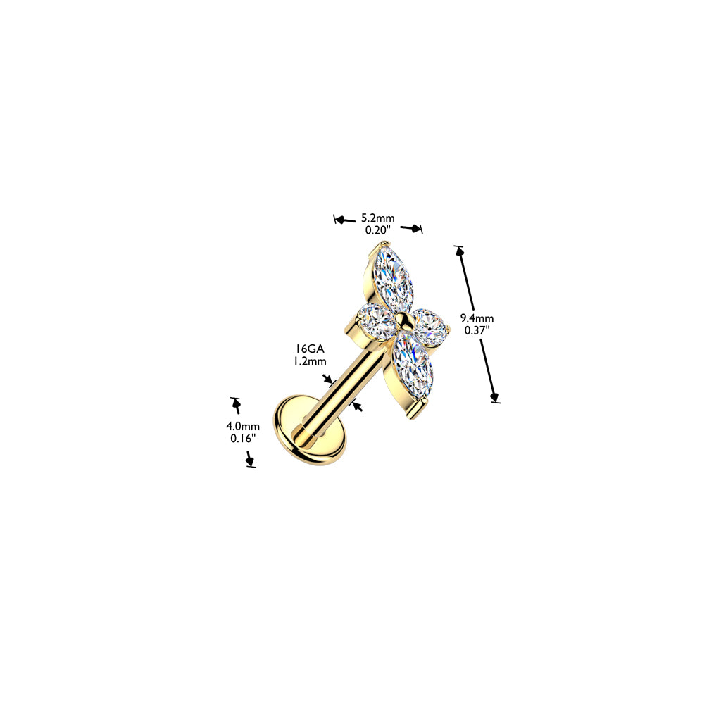 Zelia-labretin mitat: 1,2 mm varsi, 6 mm pituus ja 5,2 × 9,4 mm koriste