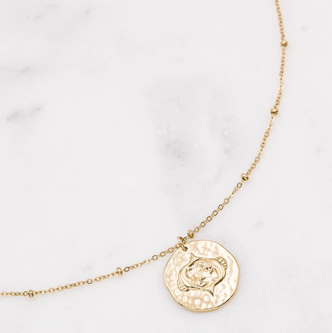 Kirurginteräskaulakoru, Astro Collection-horoskooppikoru