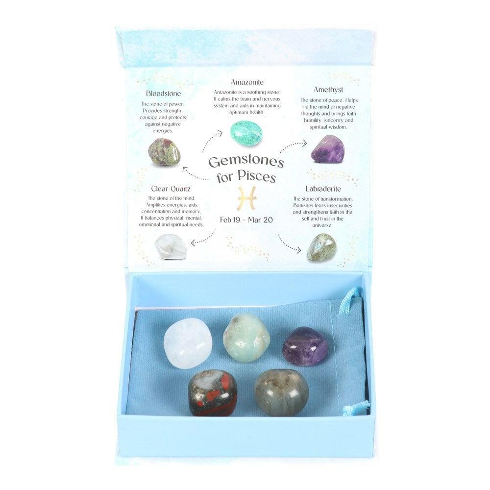 Pisces Crystal Tumblestone Set -kalojen luonnonkivi lahjapakkaus