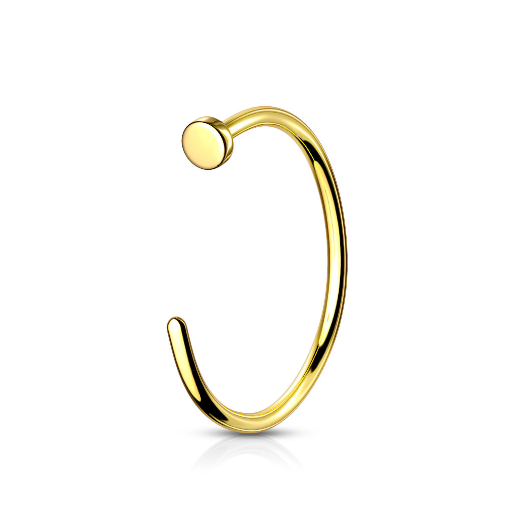 Nose Hoop Titanium (0.8mm/two sizes)